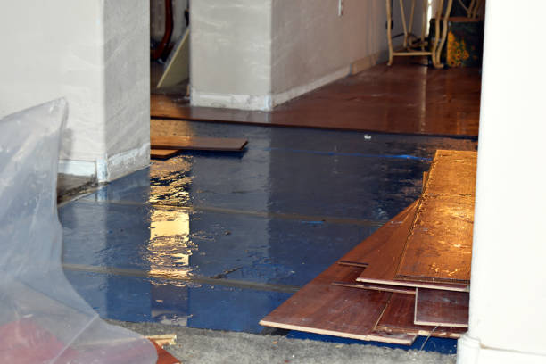 Professional Basement Flood Cleanup technician working in Mount Desert, ME